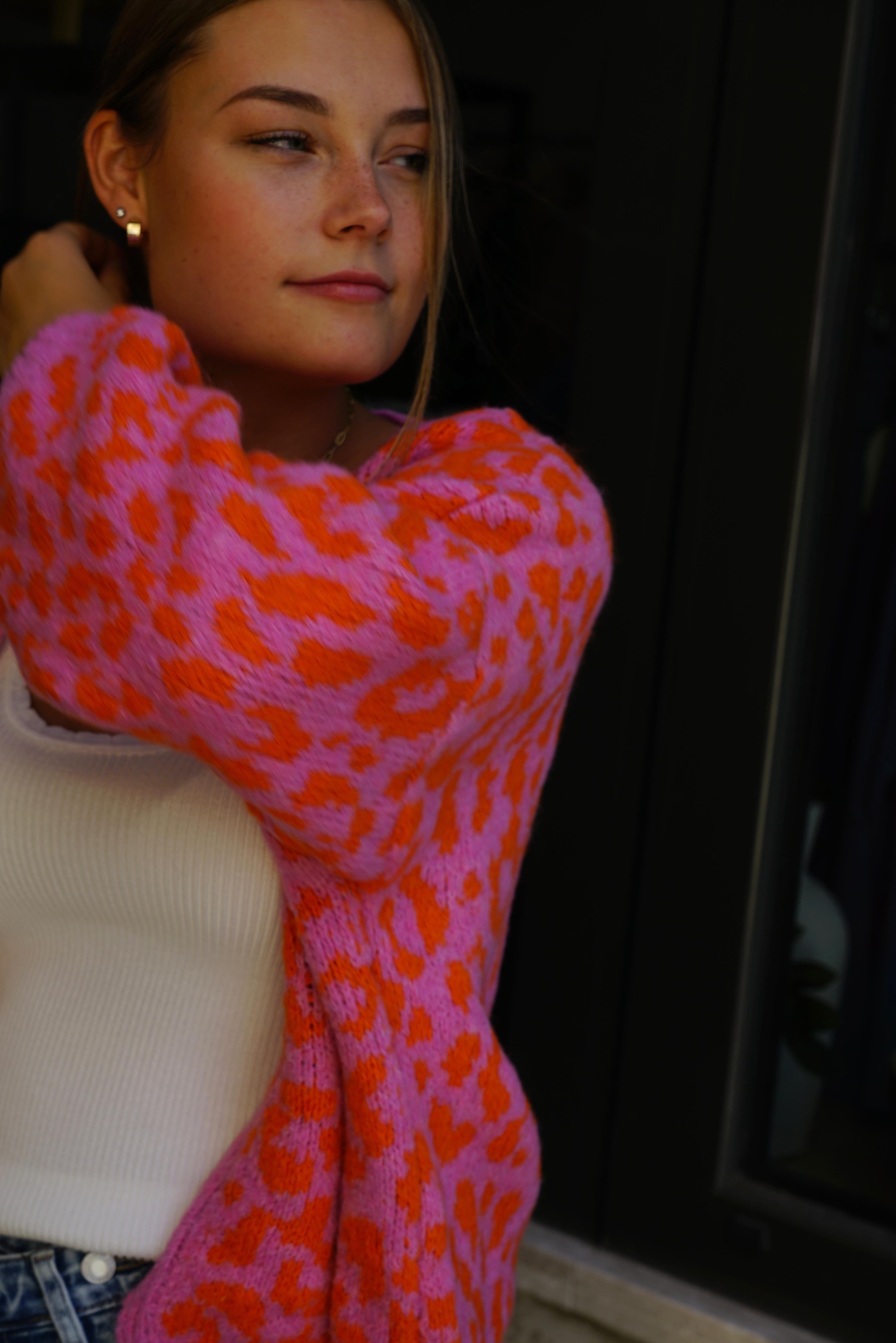 Leopard Love Knit in pink / orange